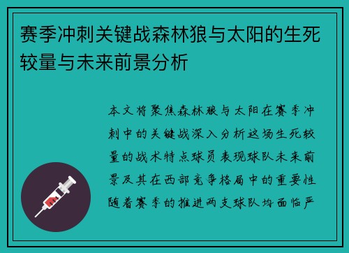 赛季冲刺关键战森林狼与太阳的生死较量与未来前景分析